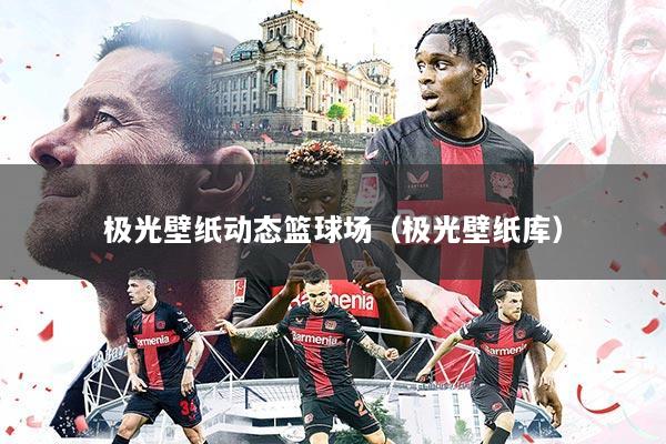 极光壁纸动态篮球场(极光壁纸库)