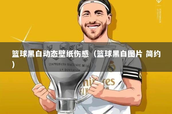 篮球黑白动态壁纸伤感(篮球黑白图片 简约)