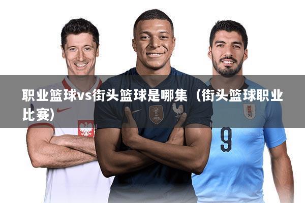 职业篮球vs街头篮球是哪集(街头篮球职业比赛)