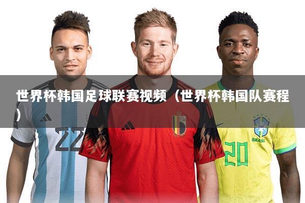 世界杯韩国足球联赛视频(世界杯韩国队赛程)