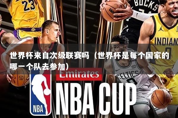 世界杯来自次级联赛吗(世界杯是每个国家的哪一个队去参加)