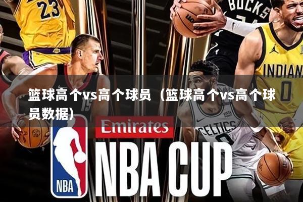 篮球高个vs高个球员（篮球高个vs高个球员数据）