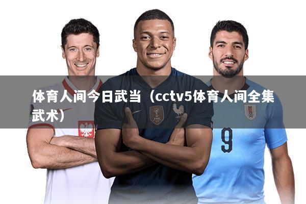 体育人间今日武当(cctv5体育人间全集武术)