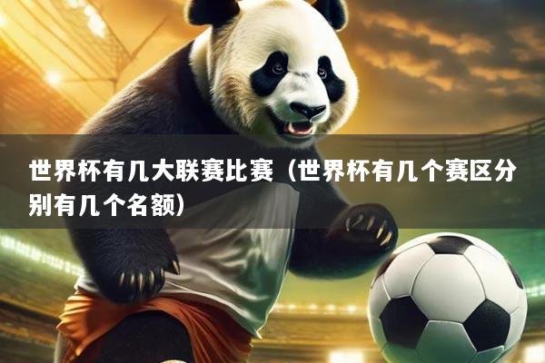 世界杯有几大联赛比赛(世界杯有几个赛区分别有几个名额)