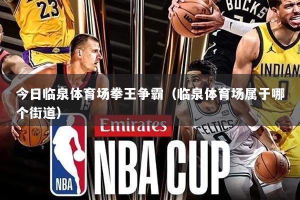 今日临泉体育场拳王争霸(临泉体育场属于哪个街道)