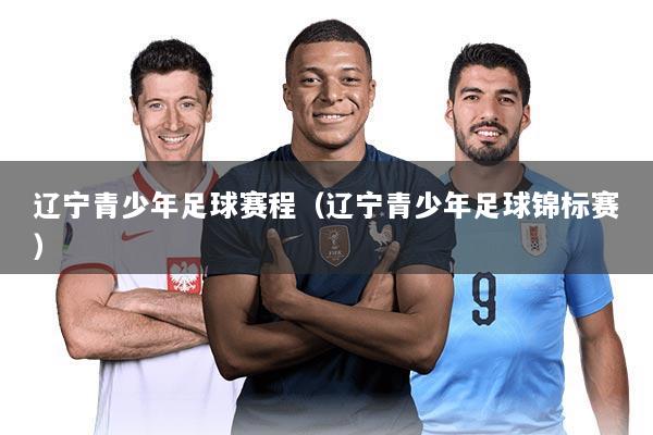 辽宁青少年足球赛程（辽宁青少年足球锦标赛）