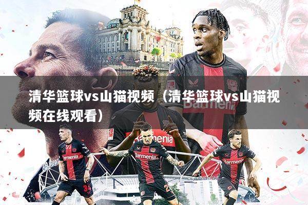 清华篮球vs山猫视频(清华篮球vs山猫视频在线观看)