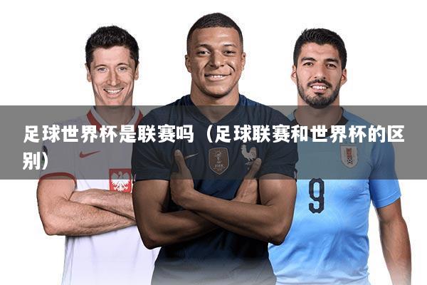 足球世界杯是联赛吗(足球联赛和世界杯的区别)