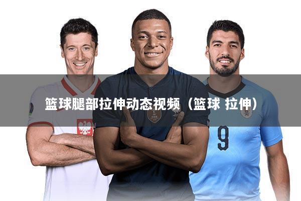 篮球腿部拉伸动态视频（篮球 拉伸）