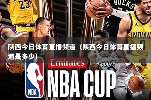 陕西今日体育直播频道(陕西今日体育直播频道是多少)