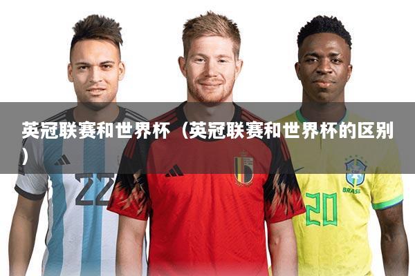 英冠联赛和世界杯(英冠联赛和世界杯的区别)