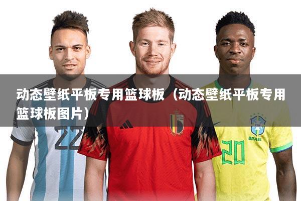 动态壁纸平板专用篮球板（动态壁纸平板专用篮球板图片）