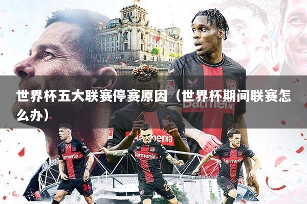 世界杯五大联赛停赛原因（世界杯期间联赛怎么办）
