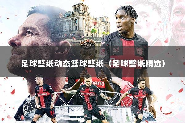 足球壁纸动态篮球壁纸(足球壁纸精选)